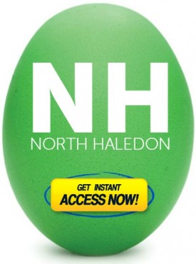 egg group NH